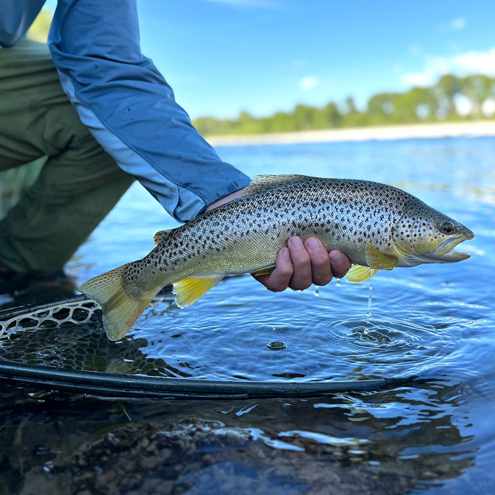 How We Fish Fish